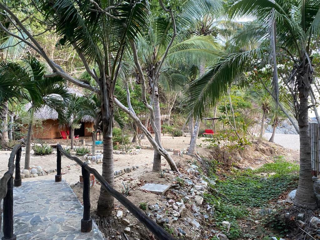 Hotel Bahía de la Luna Arroyo Cruz Exterior foto